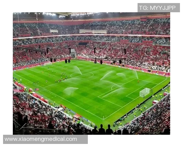 史诗级盘点世界足球球星传奇瞬间再现绿茵场辉煌